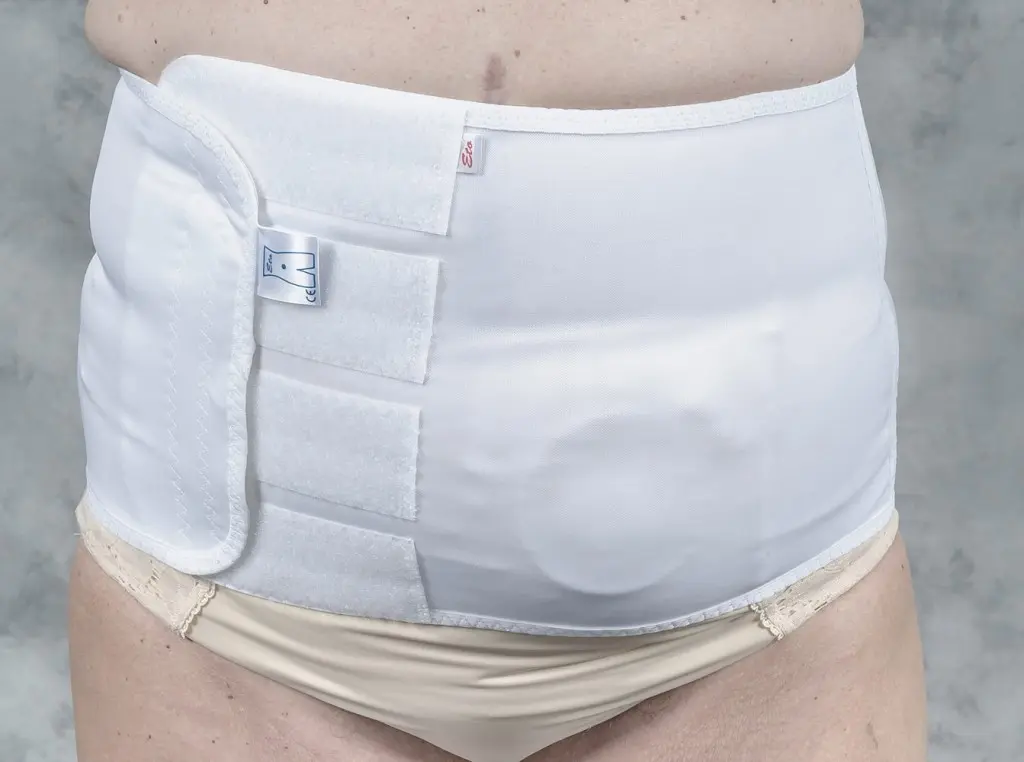 Modell 1231 - Bild 3